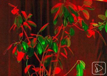 Za oknami przedwiośnie