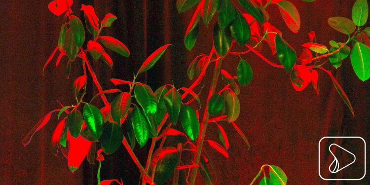 Za oknami przedwiośnie