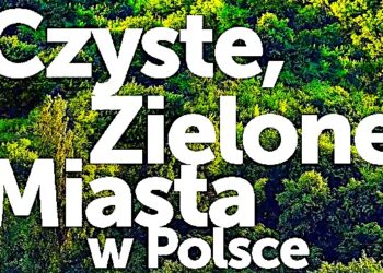 Gmina Ząbkowice Śląskie w ebooku