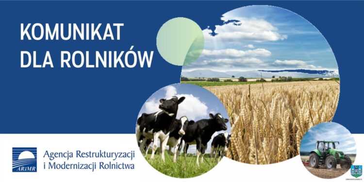 Harmonogram bezpłatnej pomocy