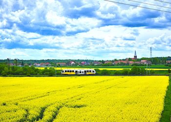 Koleje Dolnośląskie i Polregio