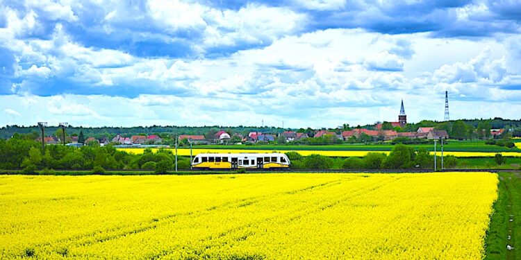 Koleje Dolnośląskie i Polregio