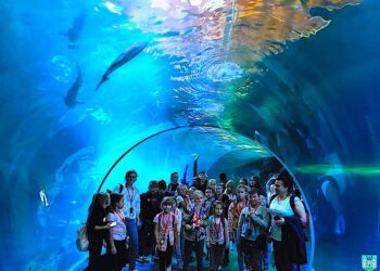 Nowe sprzęty ciekawe