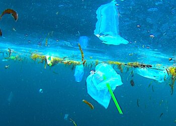 Unijna gospodarka odpadami