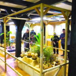 Wystawa Nie tylko konopie