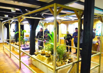 Wystawa Nie tylko konopie