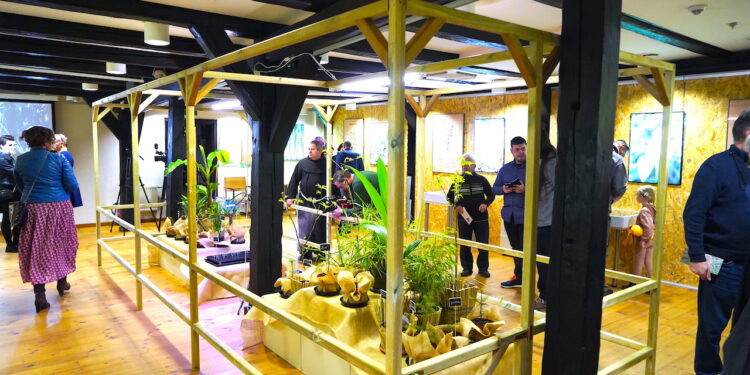 Wystawa Nie tylko konopie