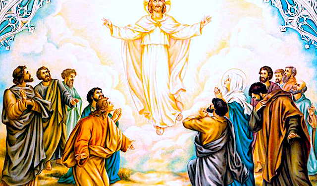 Zdrowego i radosnego świętowania Świąt Wielkanocnych