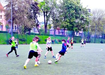 Aktywnie w Ziębicach