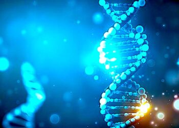 Geny człowieka nie nadążają