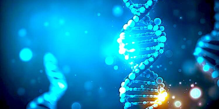 Geny człowieka nie nadążają