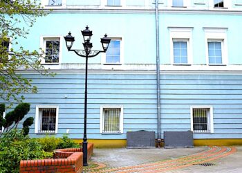 Hygrofity w deszczowych ogrodach