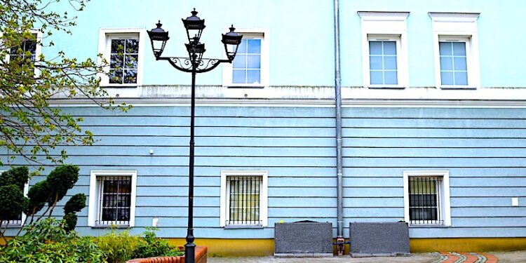 Hygrofity w deszczowych ogrodach