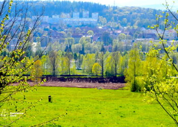 Mieszkalnictwo w Kamiennej Górze