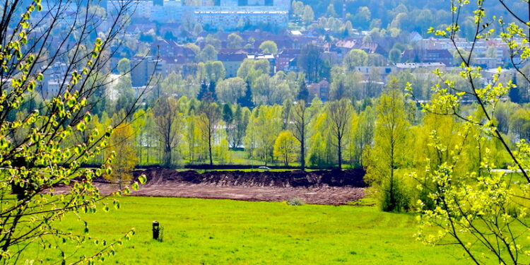 Mieszkalnictwo w Kamiennej Górze