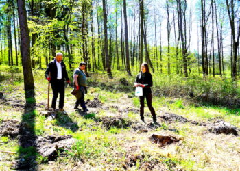 Nadleśnictwo Jugów w Wojborzu