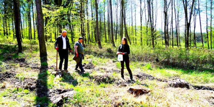 Nadleśnictwo Jugów w Wojborzu