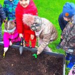 Ogródek w przedszkolu pełen upraw