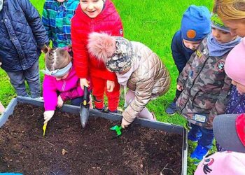 Ogródek w przedszkolu pełen upraw