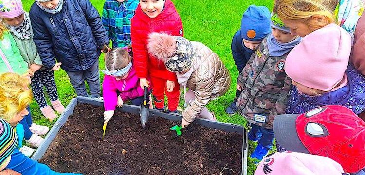 Ogródek w przedszkolu pełen upraw