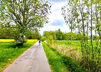 Rowerowe szlaki Wzgórz Trzebnickich