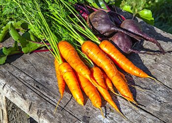 Świeże zdrowe polskie