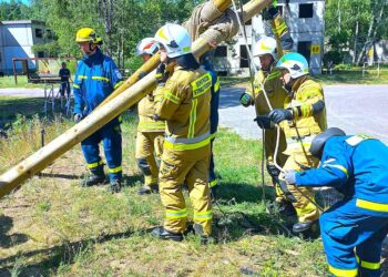 Druhowie z Budzowa i Stoszowic