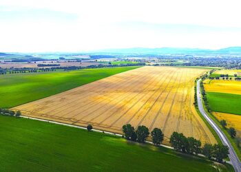 Postępowanie przetargowe na opracowanie