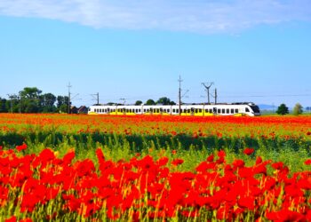 W weekend pojedziesz nad Bałtyk