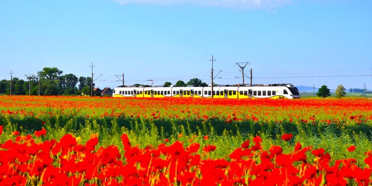 W weekend pojedziesz nad Bałtyk
