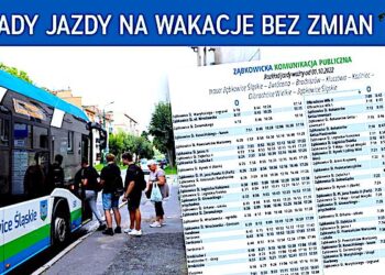 Ząbkowicka Komunikacja Publiczna rozkłady