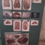 miejscakultury-dolnego-slaska-kosciol-bozego-ciala-w-glogowie