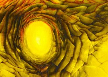 Kontrasty świata – „Opowieści o świetle i cieniu”