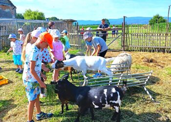 Ostoja nad Młynówką