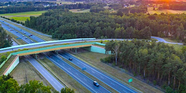 Ponad 32 kilometry do rozstrzygnięcia