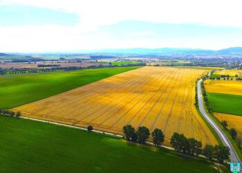 Postępowanie przetargowe na opracowanie dokumentacji