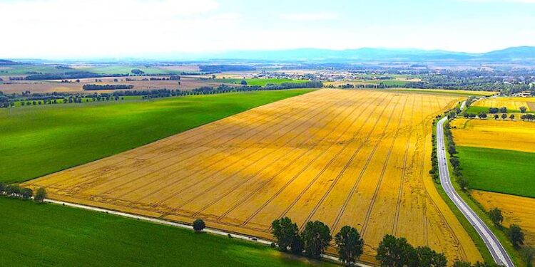 Postępowanie przetargowe na opracowanie dokumentacji