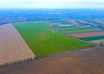 Przetarg na usługę pełnienia funkcji