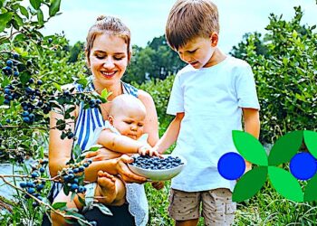 Do zobaczenia w Henrykowie