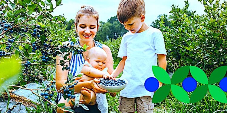 Do zobaczenia w Henrykowie