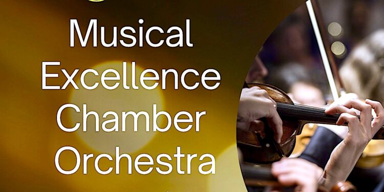 Musical Excellence Chamber Orchestra