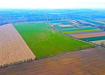 Przetarg na usługę pełnienia