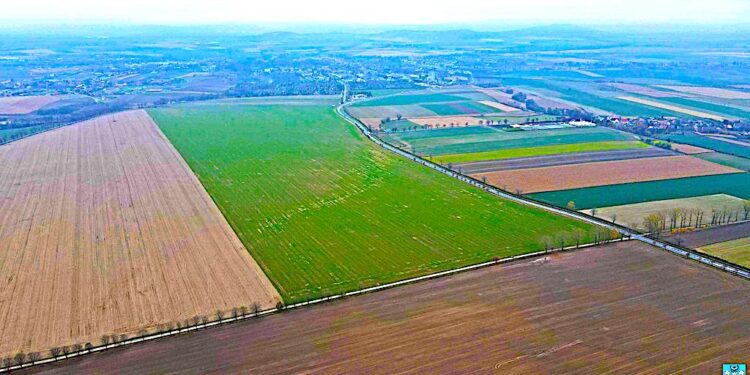 Przetarg na usługę pełnienia