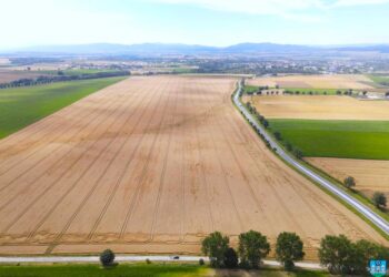 Przetarg na wykonanie robót budowlanych dla