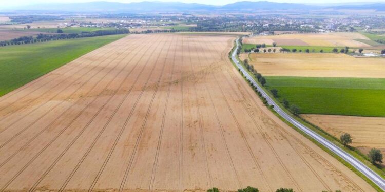 Przetarg na wykonanie robót budowlanych dla