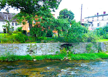 Przyspieszenie w sprawie