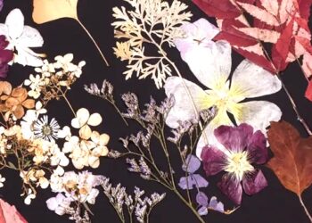 Sztuka i rośliny – „Droga światła”