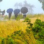 Takiego Biegu na Wielką Sowę jeszcze nie było