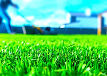 Trzeba kosić trawę