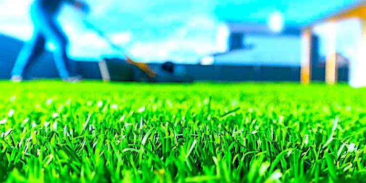 Trzeba kosić trawę